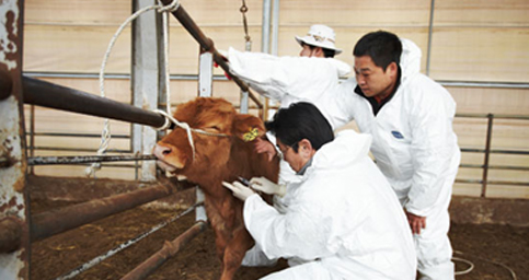 가축방역, 가축 수의사 이미지